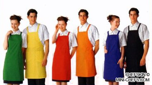  Chefskin -LOT OF 10 ADULT APRONS 
